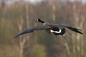 Unbenannt_filtered.jpg Unbenannt_filtered.jpg