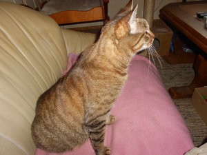 DSCN1211.JPG DSCN1211.JPG