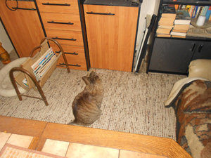 DSCN1212.JPG DSCN1212.JPG