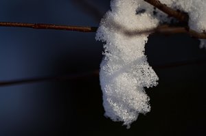 DSC_9008_ji_c.jpg DSC_9008_ji_c.jpg