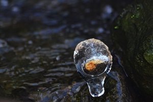 DSC_9013_ji_c.jpg DSC_9013_ji_c.jpg