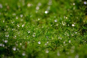 DSC_9067_ji_c.jpg DSC_9067_ji_c.jpg