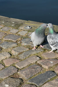 IMG_5103_01.jpg IMG_5103_01.jpg