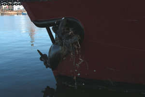 IMG_5121.jpg IMG_5121.jpg