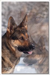 comp_meine Schöne.jpg