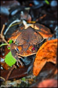 sample 5.jpg sample 5.jpg