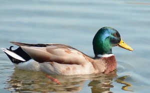 comp_DSC_5929 Kopie.jpg