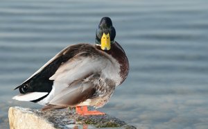 comp_DSC_6014 kopie.jpg