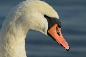 comp_DSC_6048 Kopie.jpg