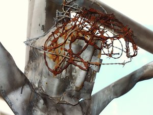 comp_DSCF2622 Kopie.jpg