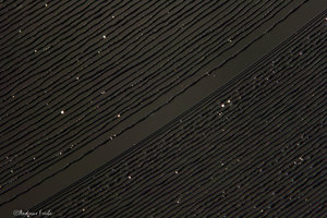 Schallplatte 062.JPG Schallplatte 062.JPG