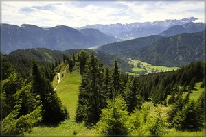 Sigma 10-20 -SD10 - IMG11132.jpg