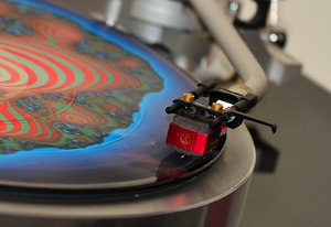 DSC_1766_copy.jpg DSC_1766_copy.jpg