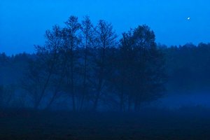 nachher.jpg nachher.jpg