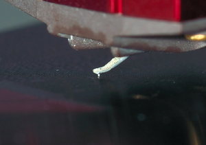 DSC_3672_copy.jpg DSC_3672_copy.jpg