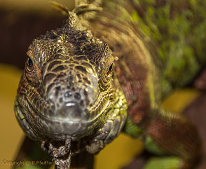 IMG_6883.jpg IMG_6883.jpg