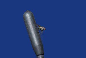 DSC_2871.jpg DSC_2871.jpg