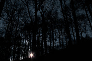 2012_12_27_SD15_ISO400_30sec_Liepnitzsee_Wald_Mond_Sterne_0072_1200x800pix.jpg 2012_12_27_SD15_ISO400_30sec_Liepnitzsee_Wald_Mond_Sterne_0072_1200x800pix.jpg