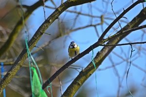 DSC_4889 (FILEminimizer).JPG