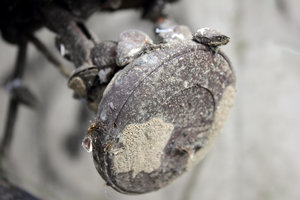 IMG_7193_web.jpg IMG_7193_web.jpg