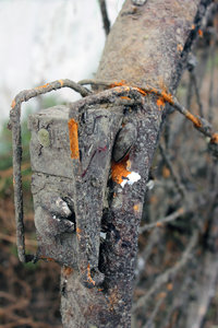 IMG_7219_web.jpg IMG_7219_web.jpg