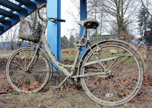 IMG_7197_web.jpg IMG_7197_web.jpg