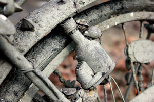 IMG_7200_web.jpg IMG_7200_web.jpg