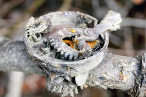 IMG_7227_web.jpg IMG_7227_web.jpg