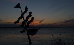 012-bearbeitet-web.jpg 012-bearbeitet-web.jpg