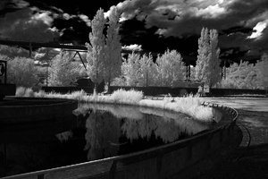 comp__DSC4610-sw.jpg comp__DSC4610-sw.jpg