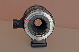 _MG_8065.jpg _MG_8065.jpg