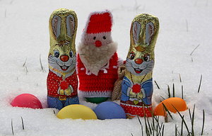 IMG_7421fff2.jpg IMG_7421fff2.jpg