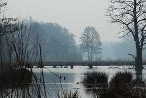 IMG_8529.JPG IMG_8529.JPG