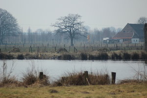 IMG_8527.JPG IMG_8527.JPG