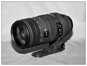 SDIM2457.jpg SDIM2457.jpg