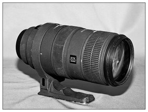 SDIM2460.jpg SDIM2460.jpg