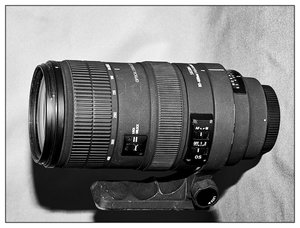 SDIM2458.jpg SDIM2458.jpg