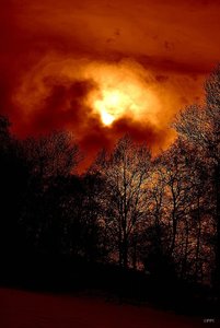 Bilderforum SDIM4251 Abendrot (c) PPf.jpg Bilderforum SDIM4251 Abendrot (c) PPf.jpg