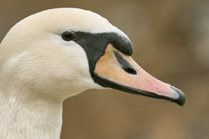 SDIM7373_1-1 Kopie Kopie.jpg