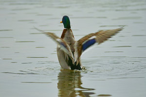 SDIM7400_1-1 Kopie Kopie.jpg