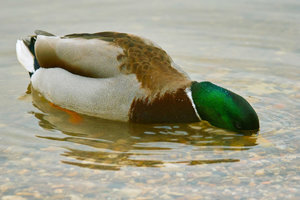 SDIM7405_1-1 Kopie Kopie.jpg