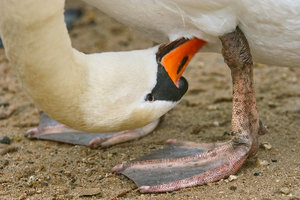 SDIM7415_1-1 Kopie Kopie.jpg