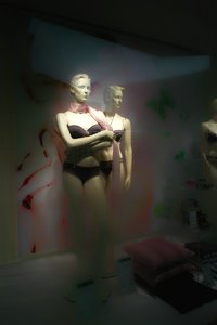 Modell_DP1 - SDIM1434.jpg