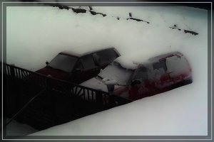 Bilderforum SDIM3960play (c) PPf.jpg