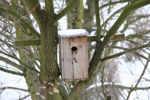 IMG_5257.jpg IMG_5257.jpg