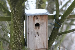 IMG_2744.jpg IMG_2744.jpg