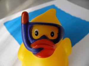 BilderforumP1080842 (c) PPf.jpg