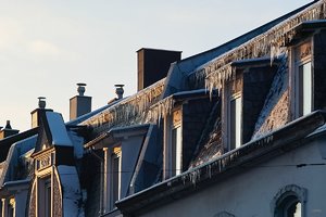 Bilderforum SDIM4502 (c) PPf.jpg