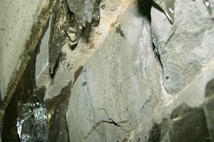 Bilderforum SDIM4534a (c) PPf.jpg