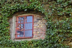 Z_Bonifacius__SD10 - IMG06195.jpg